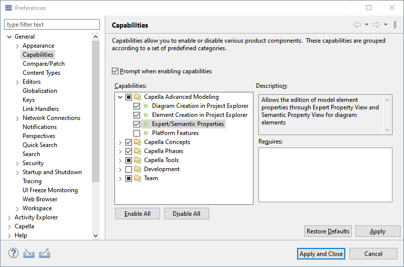 Capability to turn on in Capella 6.1 and Above